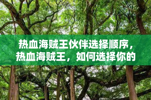 热血海贼王伙伴选择顺序，热血海贼王，如何选择你的最佳伙伴
