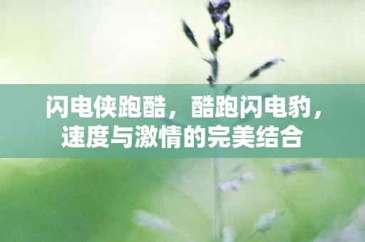 闪电侠跑酷，酷跑闪电豹，速度与激情的完美结合