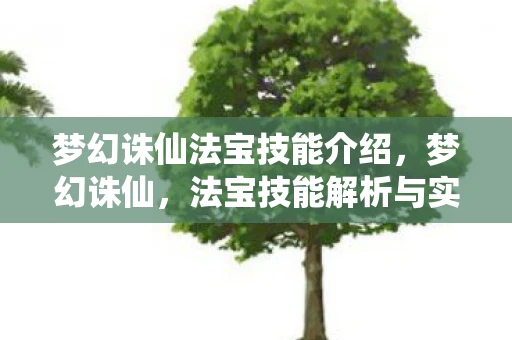 梦幻诛仙法宝技能介绍，梦幻诛仙，法宝技能解析与实战应用