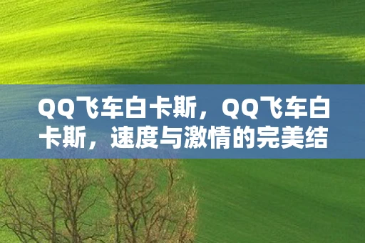 QQ飞车白卡斯，QQ飞车白卡斯，速度与激情的完美结合