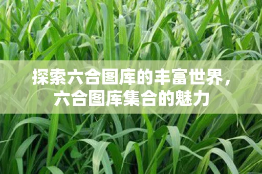 探索六合图库的丰富世界图片
