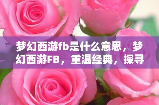 梦幻西游fb是什么意思，梦幻西游FB，重温经典，探寻未知
