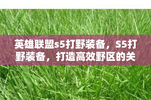 英雄联盟s5打野装备,S5打野装备,打造高效野区的关键 英雄联盟s5打野装备,S5打野装备,打造高效野区的关键