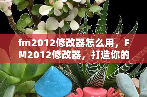 fm2012修改器怎么用,FM2012修改器,打造你的梦幻足球王国 fm2012修改器怎么用,FM2012修改器,打造你的梦幻足球王国