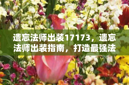 遗忘法师出装17173，遗忘法师出装指南，打造最强法师装备搭配