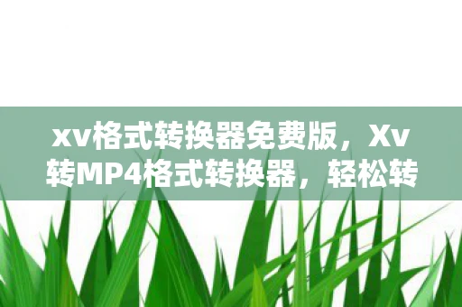 xv格式转换器免费版，Xv转MP4格式转换器，轻松转换视频格式，享受高清画质