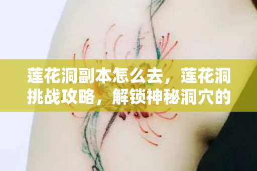 莲花洞副本怎么去，莲花洞挑战攻略，解锁神秘洞穴的终极秘籍