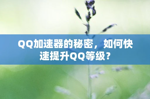 QQ加速器的秘密,如何快速提升QQ等级? QQ加速器的秘密,如何快速提升QQ等级?