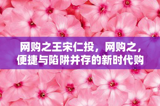 网购之王宋仁投，网购之，便捷与陷阱并存的新时代购物方式