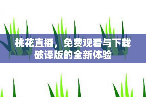免费观看与下载破译版的全新体验图片