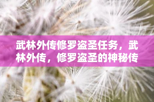 武林外传修罗盗圣任务,武林外传,修罗盗圣的神秘传说 武林外传修罗盗圣任务,武林外传,修罗盗圣的神秘传说
