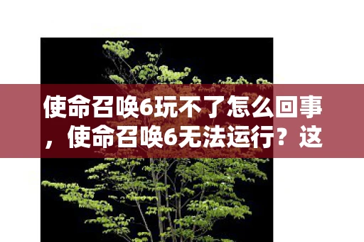 使命召唤6玩不了怎么回事，使命召唤6无法运行？这里有解决方案！
