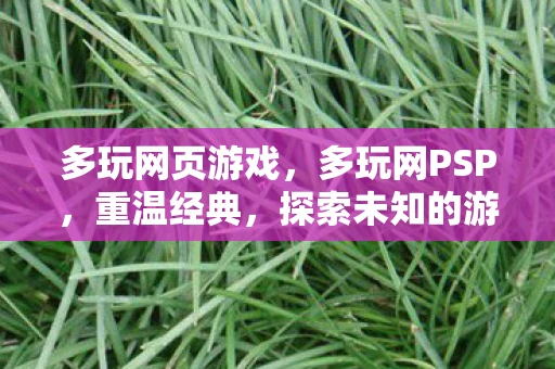 多玩网页游戏，多玩网PSP，重温经典，探索未知的游戏世界