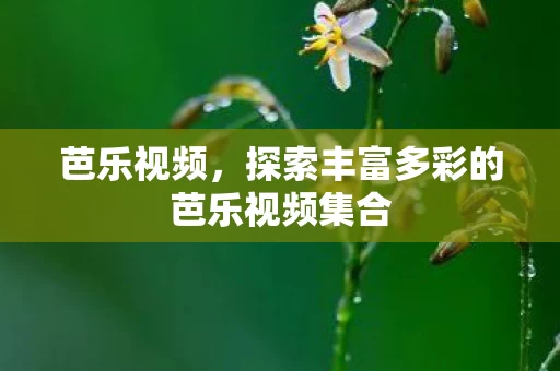 探索丰富多彩的芭乐视频集合图片