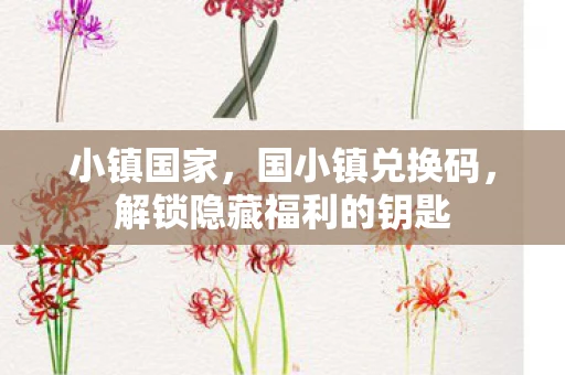 小镇国家,国小镇兑换码,解锁隐藏福利的钥匙 小镇国家,国小镇兑换码,解锁隐藏福利的钥匙