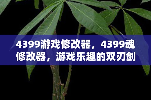 4399游戏修改器，4399魂修改器，游戏乐趣的双刃剑？