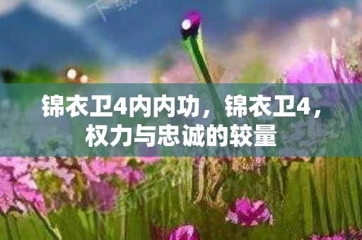 锦衣卫4内内功,锦衣卫4,权力与忠诚的较量 锦衣卫4内内功,锦衣卫4,权力与忠诚的较量