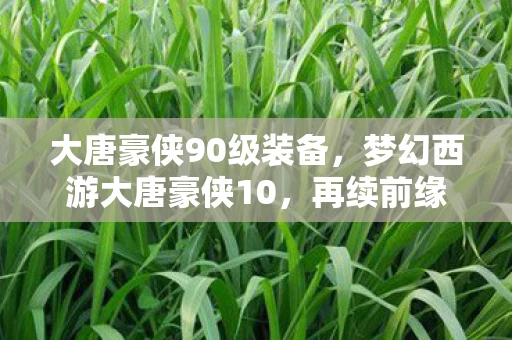 大唐豪侠90级装备,梦幻西游大唐豪侠10,再续前缘,共闯江湖 大唐豪侠90级装备,梦幻西游大唐豪侠10,再续前缘,共闯江湖