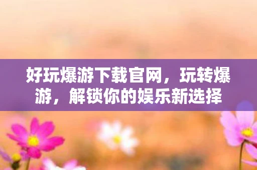 好玩爆游下载官网，玩转爆游，解锁你的娱乐新选择