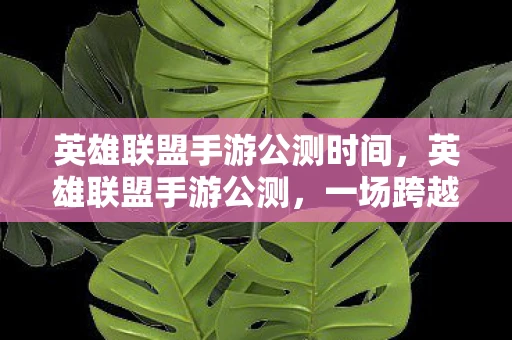 英雄联盟手游公测时间，英雄联盟手游公测，一场跨越时空的竞技盛宴