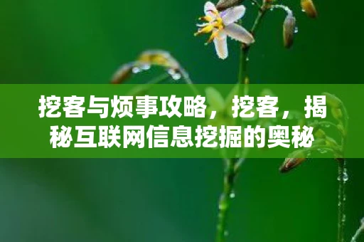 挖客与烦事攻略，挖客，揭秘互联网信息挖掘的奥秘