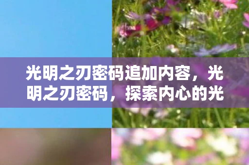 光明之刃密码追加内容，光明之刃密码，探索内心的光明与力量