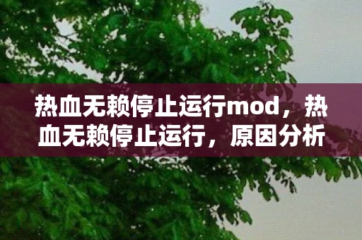 热血无赖停止运行mod，热血无赖停止运行，原因分析与解决策略