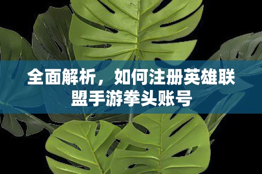 如何注册英雄联盟手游拳头账号图片