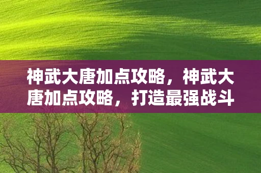 神武大唐加点攻略，神武大唐加点攻略，打造最强战斗力的关键