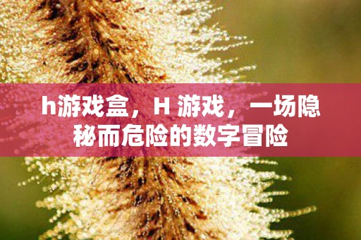 h游戏盒，H 游戏，一场隐秘而危险的数字冒险