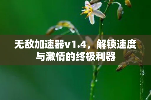 无敌加速器v1.4，解锁速度与激情的终极利器