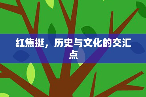 红焦挺，历史与文化的交汇点