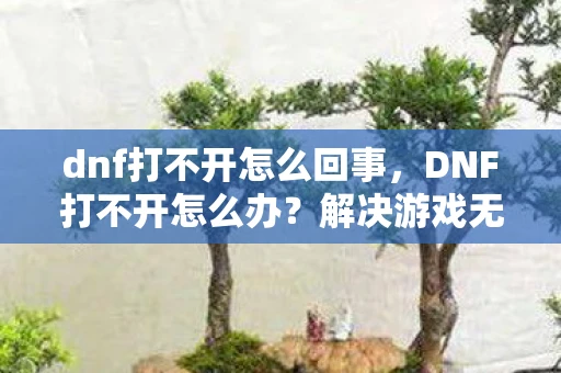 dnf打不开怎么回事，DNF打不开怎么办？解决游戏无法启动的常见问题
