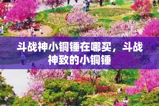 斗战神小铜锤在哪买，斗战神致的小铜锤