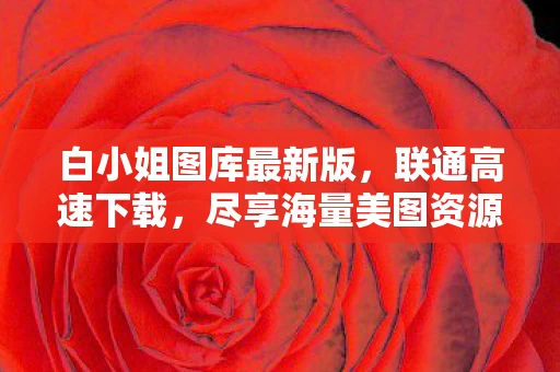 白小姐图库最新版图片