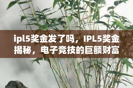 ipl5奖金发了吗，IPL5奖金揭秘，电子竞技的巨额财富与荣耀
