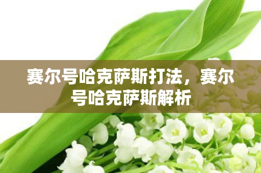 赛尔号哈克萨斯打法,赛尔号哈克萨斯解析 赛尔号哈克萨斯打法,赛尔号哈克萨斯解析