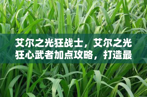 艾尔之光狂战士，艾尔之光狂心武者加点攻略，打造最强战斗风格