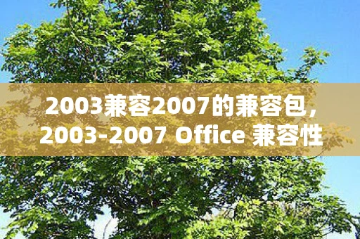 2003兼容2007的兼容包，2003-2007 Office 兼容性包，解锁旧版文件的现代兼容性