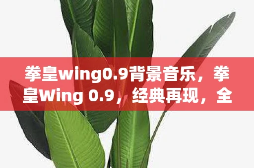 拳皇wing0.9背景音乐，拳皇Wing 0.9，经典再现，全新挑战