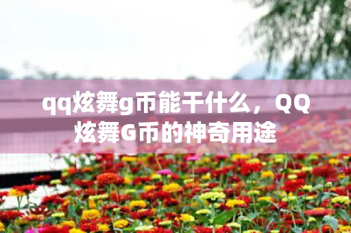 qq炫舞g币能干什么，QQ炫舞G币的神奇用途