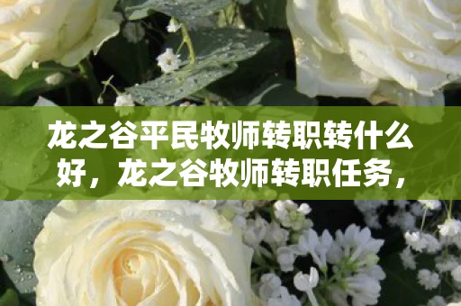 龙之谷平民牧师转职转什么好，龙之谷牧师转职任务，探索神圣之路的奥秘