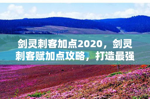 剑灵刺客加点2020,剑灵刺客赋加点攻略,打造最强刺客的必备指南 剑灵刺客加点2020,剑灵刺客赋加点攻略,打造最强刺客的必备指南