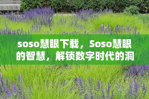 soso慧眼下载，Soso慧眼的智慧，解锁数字时代的洞察与决策