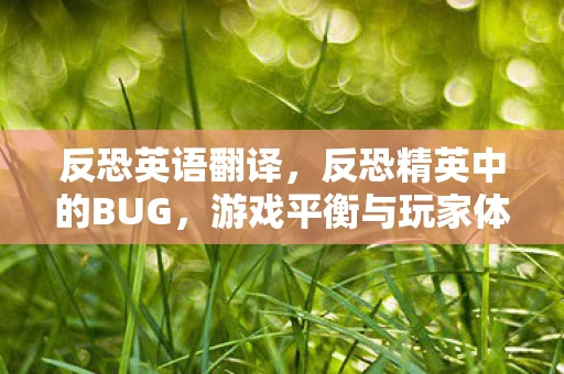 反恐英语翻译，反恐精英中的BUG，游戏平衡与玩家体验的挑战