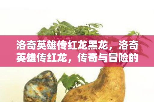 洛奇英雄传红龙黑龙，洛奇英雄传红龙，传奇与冒险的交织