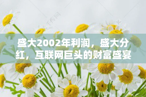 盛大2002年利润，盛大分红，互联网巨头的财富盛宴