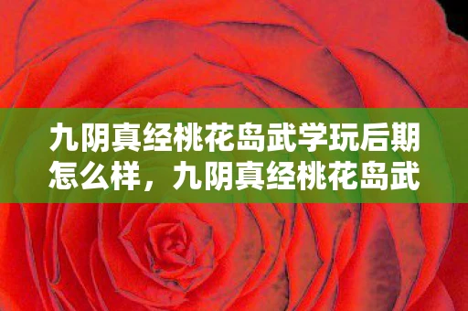 九阴真经桃花岛武学玩后期怎么样，九阴真经桃花岛武学，探寻武侠世界中的神秘门派