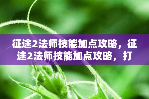 征途2法师技能加点攻略，征途2法师技能加点攻略，打造最强法师之路
