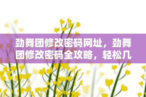 劲舞团修改密码网址，劲舞团修改密码全攻略，轻松几步，保护你的账号安全
